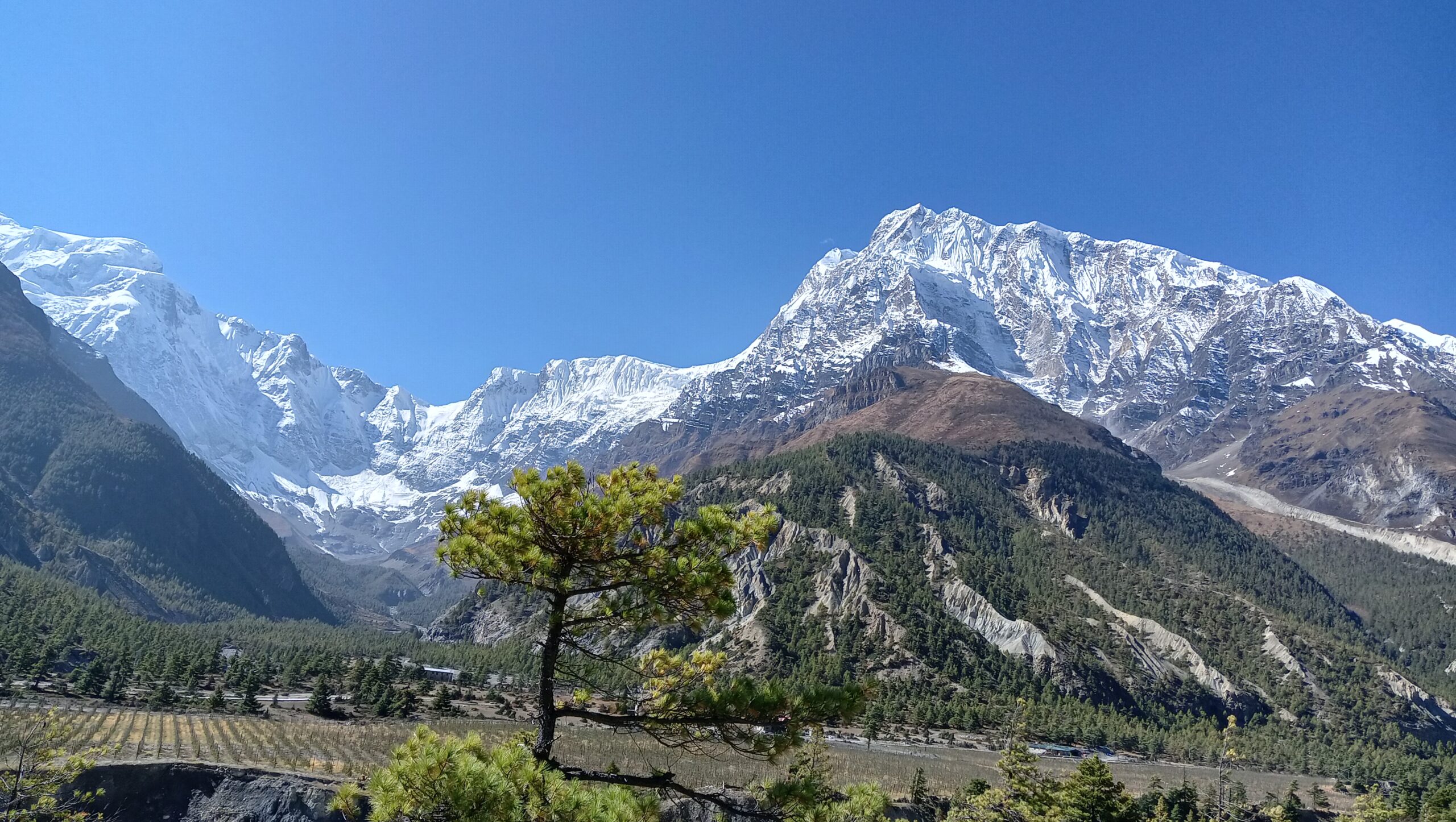 Yala Peak Climbing