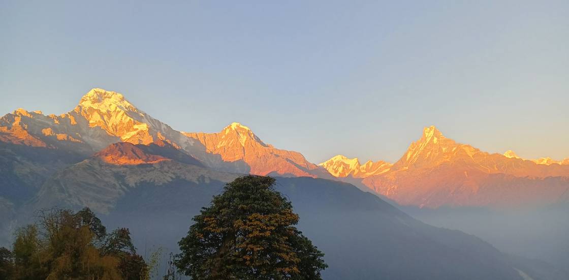 Mardi Himal Trek