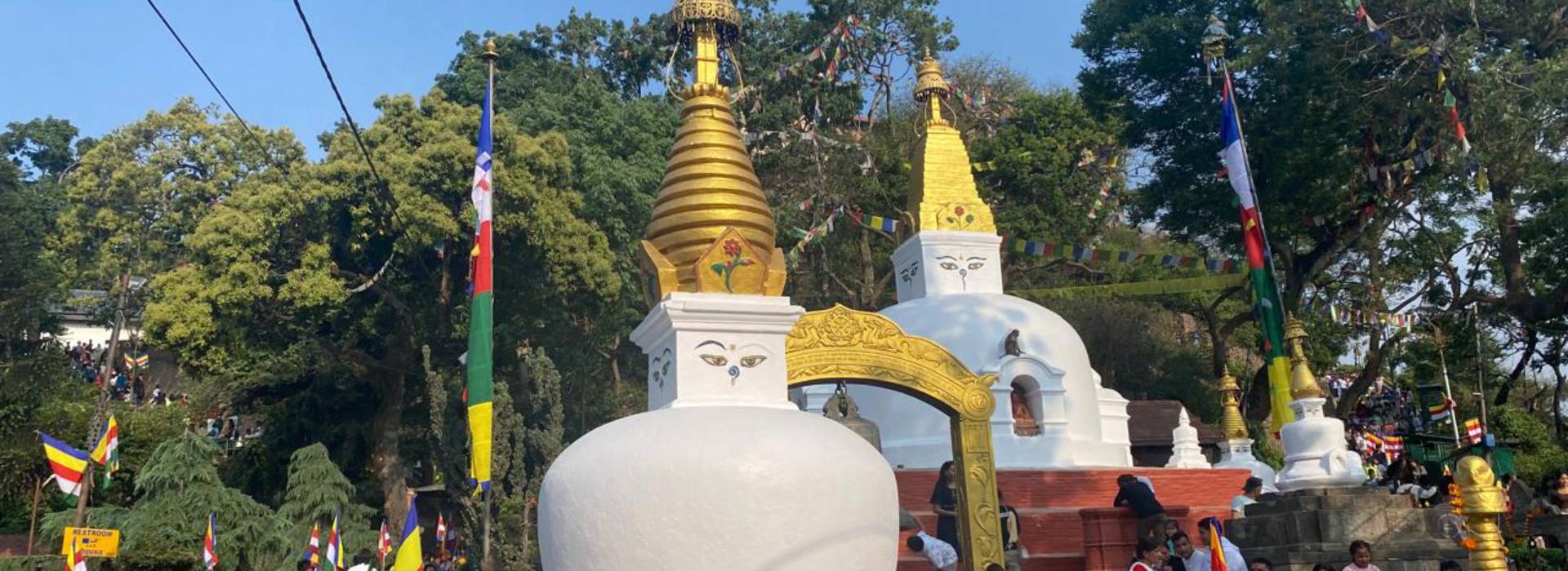 Hello Nepal Treks & Tours