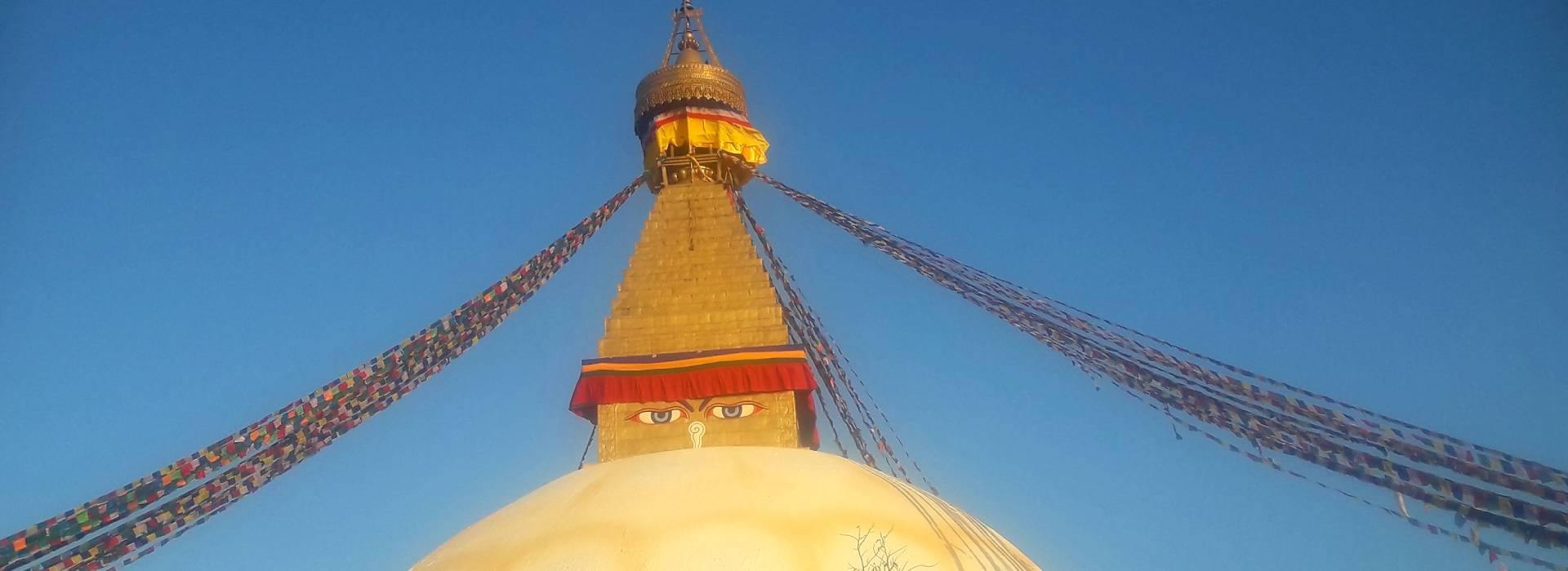 Hello Nepal Treks & Tours